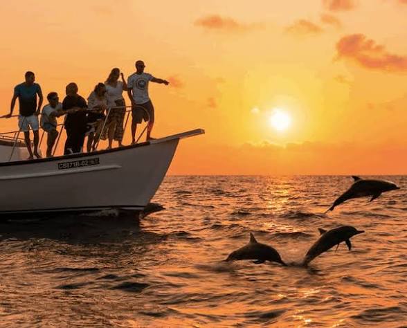 Sunset Dolphin Cruise
