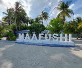 Island life in Maafushi