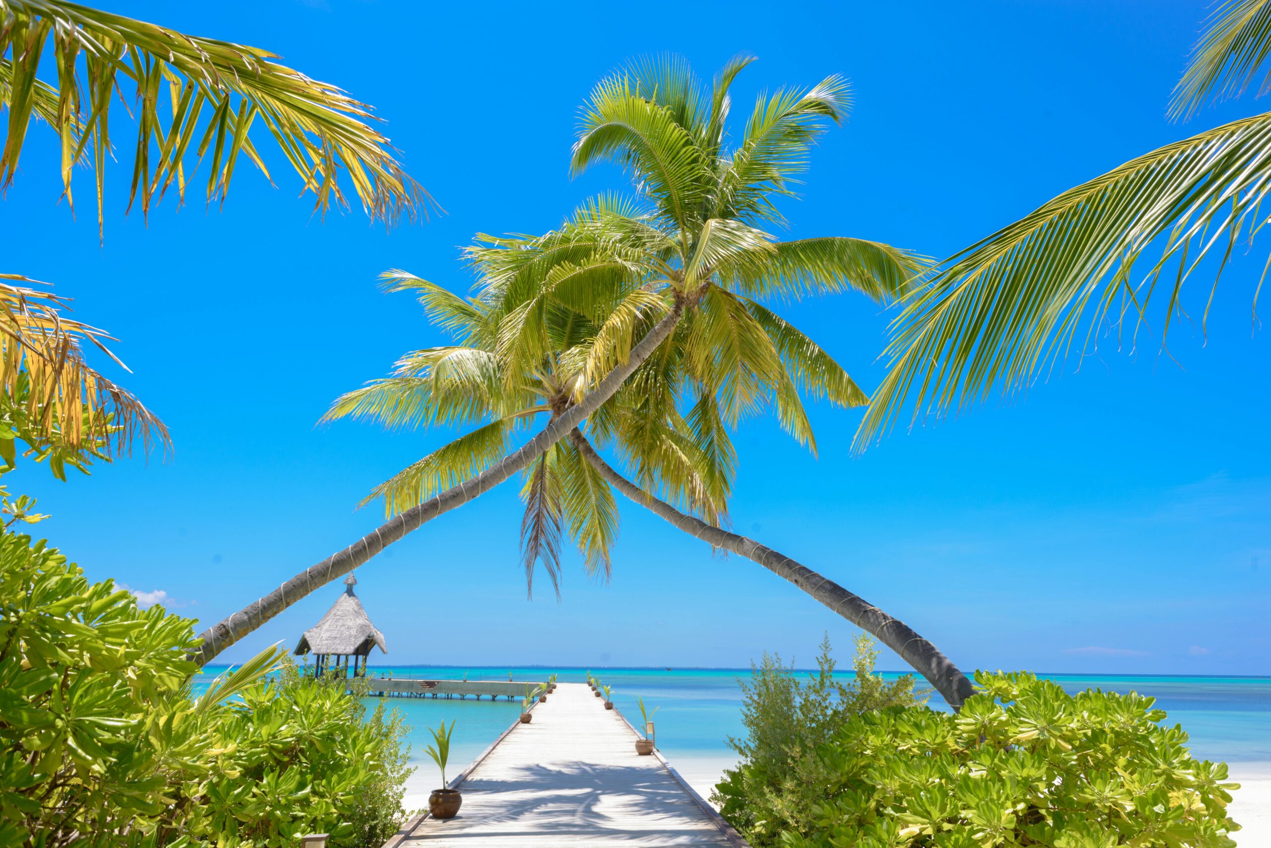 Maldives family relaxation and lagoon view