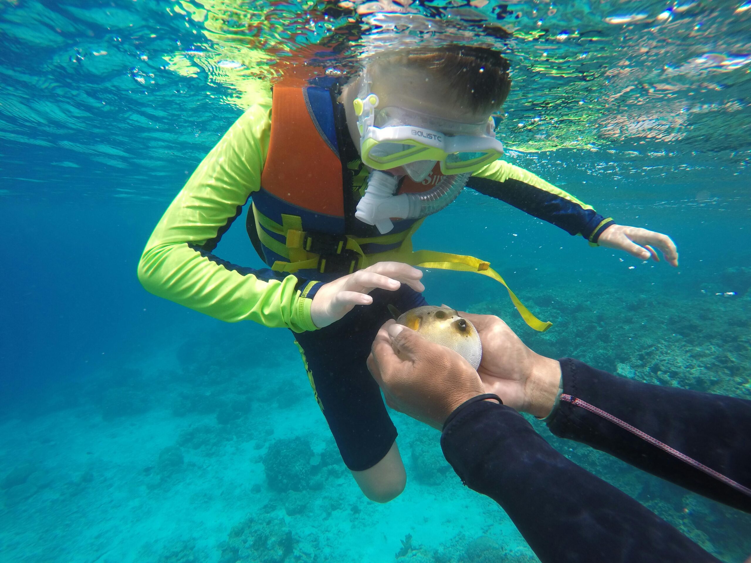 Sun Siyam Vilu Reef Maldives snorkeling and reef experience